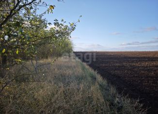 Продам участок, 1500 сот., Крым