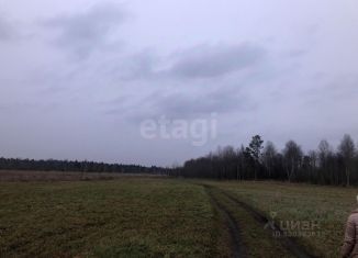 Продаю земельный участок, 11.09 сот., деревня Борики, Школьная улица