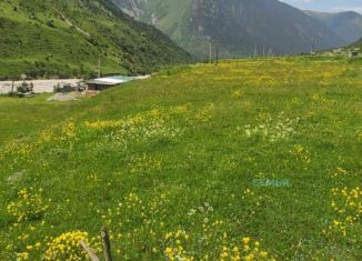 Продам земельный участок, 100 сот., село Дзинага