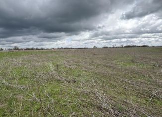 Продажа земельного участка, 10 сот., хутор Большевик, Кубанская улица, 21