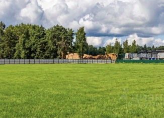 Продажа земельного участка, 12 сот., деревня Шульгино