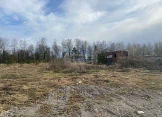 Продаю земельный участок, 41 сот., село Отрадное