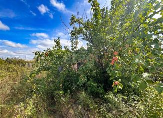 Участок на продажу, 8 сот., Курганская область