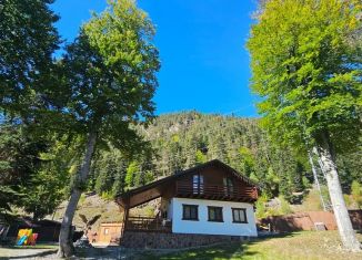 Сдаю в аренду дом, 140 м2, село Архыз
