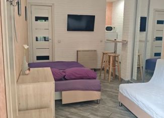 Аренда дома, 35 м2, Сочи, улица Энгельса, 8