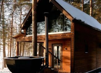 Сдается в аренду дом, 80 м2, Нижегородская область, улица Кирова