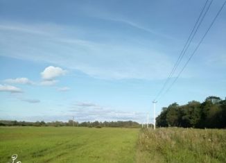 Продажа участка, 12 сот., Новгородская область