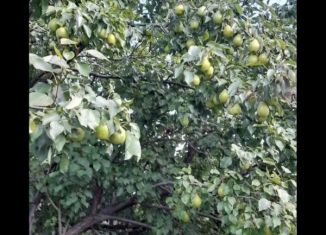 Продам дом, 40 м2, Курган, СНТ Реченька, 182