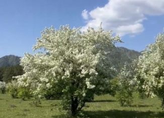 Продам земельный участок, 12 сот., село Узнезя
