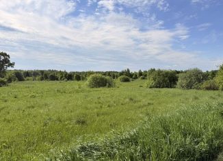 Земельный участок на продажу, 160 сот., деревня Ильино