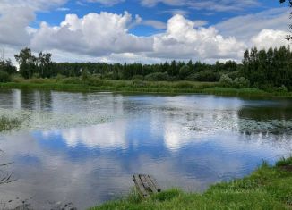 Дом на продажу, 30 м2, Ярославль, Красноперекопский район, СНТ Текстильщик-1, 113