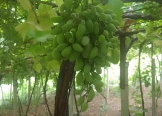 Продаю участок, 40 сот., Дагестан