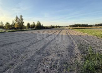 Продажа земельного участка, 18 сот., деревня Дурасово