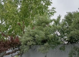 Продам дачу, 20 м2, садовый массив Водинский, 18-я улица, 12