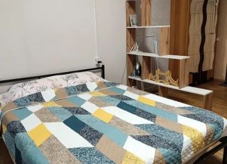 Сдается квартира студия, 22 м2, Свердловская область, улица Ленина, 4