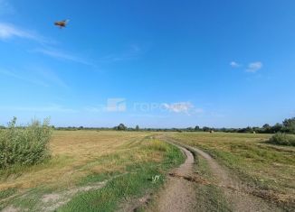 Земельный участок на продажу, 3745.2 сот., Новосибирская область