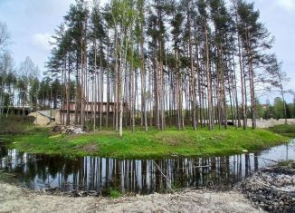 Продаю участок, 22 сот., деревня Сярьги