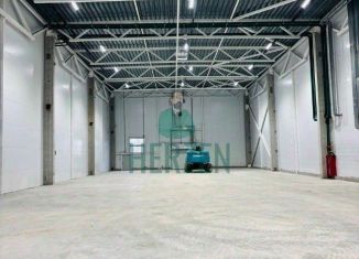 Продам складское помещение, 1011 м2, Лыткарино