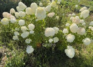 Продаю участок, 10 сот., Бердск, 4-й квартал, 25
