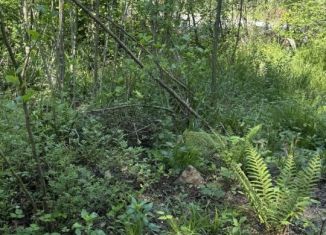 Продажа земельного участка, 5.3 сот., Краснодарский край, СНТ Заря-6, 38