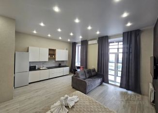 Квартира в аренду студия, 42 м2, Омск, улица Герцена, 99