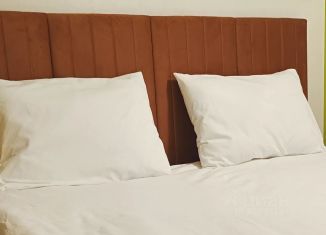 1-ком. квартира в аренду, 45 м2, Удмуртия, улица Карла Маркса, 455