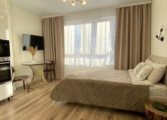 Сдача в аренду квартиры студии, 30 м2, Уфа, улица Рудольфа Нуреева, 7