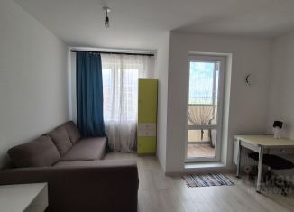 Продажа квартиры студии, 23.4 м2, Бугры