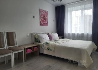Сдам в аренду квартиру студию, 30 м2, Удмуртия, улица 1 Мая, 83