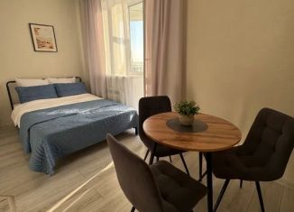 Квартира в аренду студия, 27 м2, Омск, улица Мишина, 2