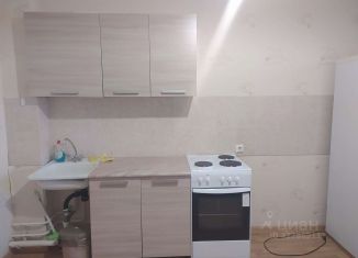Сдается в аренду 1-комнатная квартира, 54 м2, Старый Оскол, микрорайон Степной, 4