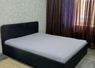 Сдается 1-комнатная квартира, 38 м2, Красноярский край, улица Бегичева, 2Б