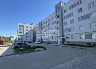 Продам 1-ком. квартиру, 34.4 м2, Бор, Молодёжная улица, 4А