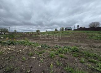 Продаю земельный участок, 20 сот., деревня Холоповицы