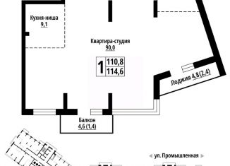 Продаю 1-комнатную квартиру, 114 м2, Барнаул, Центральный район
