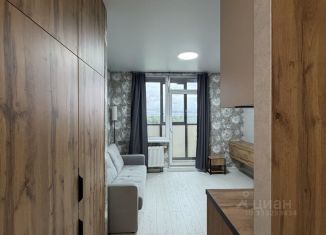 Сдается в аренду квартира студия, 22.4 м2, Кудрово, проспект Строителей, 16