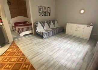 Однокомнатная квартира в аренду, 35 м2, Сочи, улица Серафимовича, 3