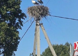 Продаю участок, 20 сот., Ленинградская область