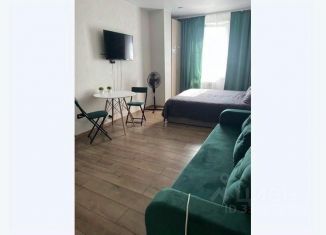 Сдача в аренду 1-ком. квартиры, 30 м2, Бердск, улица Карла Маркса, 1/2