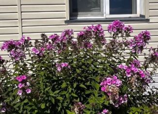 Продам дом, 63.2 м2, рабочий посёлок Колывань, переулок Строителей, 22