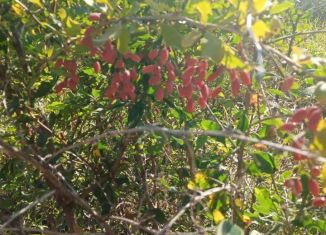 Продажа дачи, 25 м2, СНТ Прудское