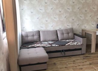 Сдается в аренду квартира студия, 25 м2, село Волковка, Серебряная улица, 35