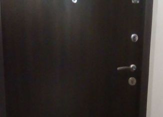 Сдаю в аренду квартиру студию, 24.4 м2, Мурино, Графская улица, 8, ЖК Гринландия-2