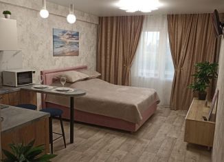 Квартира в аренду студия, 30 м2, Ивановская область, микрорайон Видный, 4