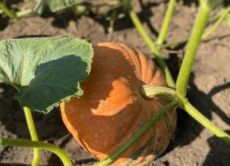 Дом на продажу, 300 м2, поселок Нефтебаза, Центральная улица