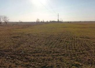 Продается земельный участок, 893 сот., село Добрушино