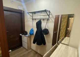 Сдам 1-комнатную квартиру, 41 м2, Москва, Ереванская улица, 27, район Царицыно
