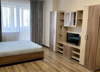 Аренда 1-комнатной квартиры, 51 м2, Самара, улица Советской Армии, 238А, метро Российская