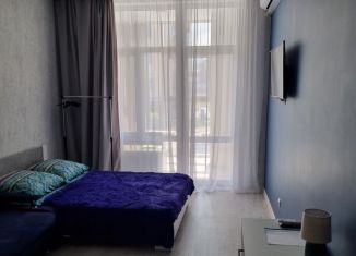 Сдаю в аренду квартиру студию, 29 м2, Анапа, улица Ленина, 202к2