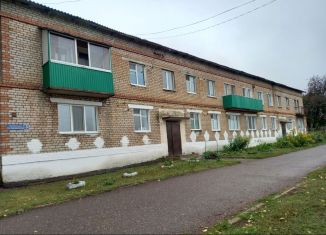 Трехкомнатная квартира на продажу, 53.2 м2, деревня Гончаровка, Школьная улица